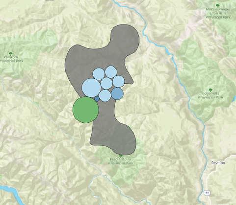 Designing for Ambiguity: Visual Analytics in Avalanche Forecasting